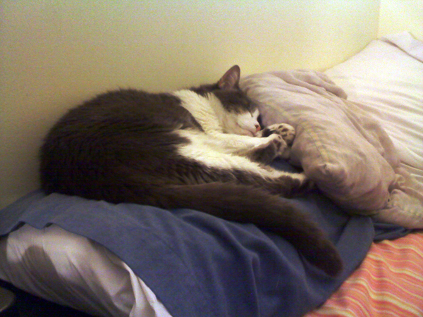 Dollbaby Asleep